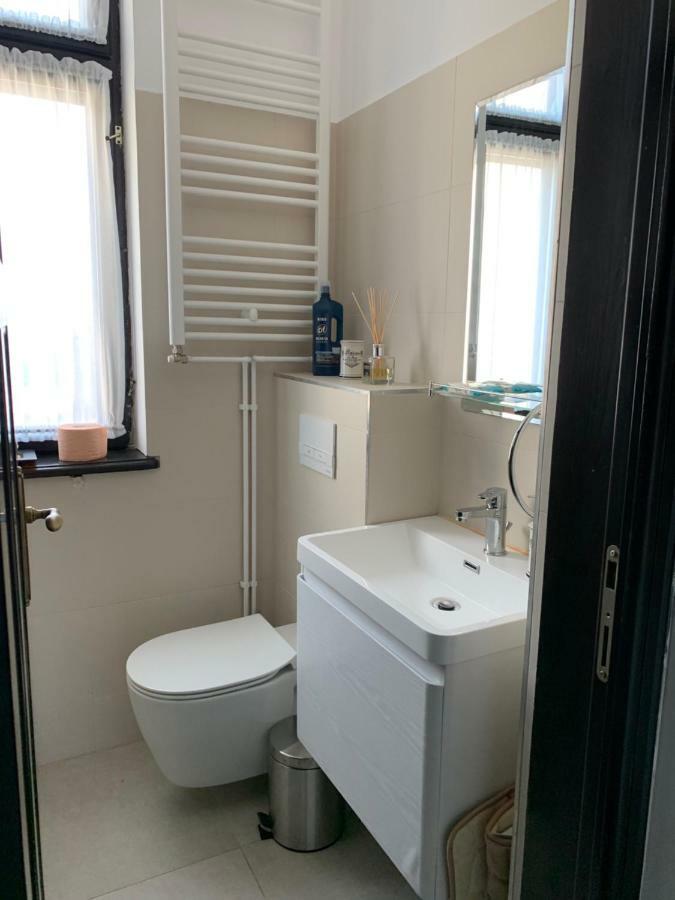 English Apartment Craiova Bagian luar foto