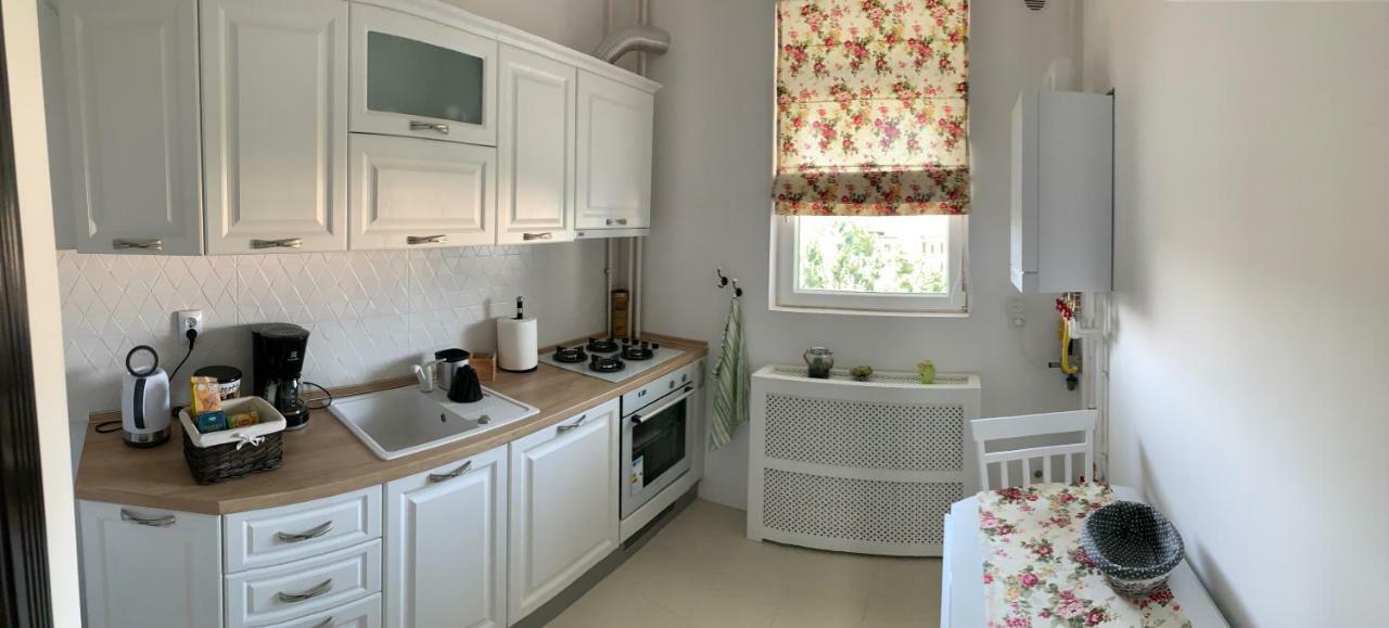 English Apartment Craiova Bagian luar foto